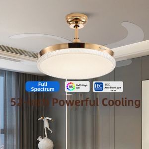 Mountain Air | Luxurious Quiet Ceiling Fan Light