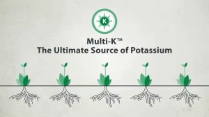 Potassium Nitrate / Pupuk Kalium Nitrat / KNO3 Putih Kristal
