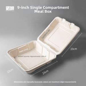 NUOXIAN | Biodegradable Paper Pulp Disposable Lunch Box
