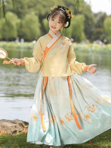 Chinese Traditional Ming Dynasty Girls Outfit Long Sleeve Spring Autumn Childrens Style High End Daily Wear Floral Pattern