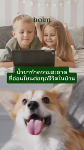 Holm Multi-Purpose Cleaner น้ำยาทำความสะอาดอเนกประสงค์ 3in1 น้ำยาถูพื้น ล้างจาน ซักผ้า สัตว์เลี้ยง ขนาด 3.8 ลิตร