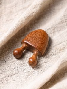 แปรงนวดผมชั้นเลิศ แปรงสปา แปรงแกะกลาหล แปรงกันรากผม แปรงสำหรับตัวคุณเอง แปรงสำหรับผู้ชายและผู้หญิง แปรงสำหรับสุนัข