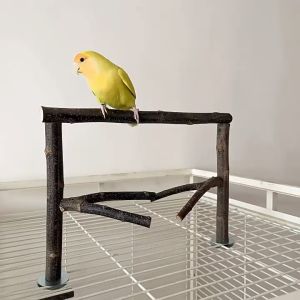 🇸🇬 Bird Perch Stand: Natural Wood Branch for Claw and Beak Grinding Parrot Toy