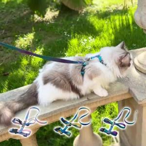 XPAWS Cat Harness Leash Set Adjustable Reflective Padded Vest With Lock Clip For Small Cats