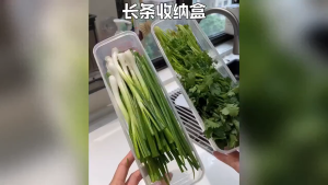 JIULONGZHAO พลาสติก 25*7.5*5ซม กล่องตู้เย็นที่เก็บผัก ปิดผนึกกรอบการจัดเตรียมแบบหลายจานอเนกประสงค์ที่ยอดเยี่ยมก๋วยเตี๋ยวและไข่สามารถใช้งานได้