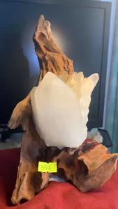 Đá Thạch Anh trắng tự nhiên có nhiều chóp nhọn năng lượng cao thông đèn mã 334