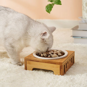 ชามแมวเซรามิกสองชั้นพร้อมพื้นสแตนเลสและชั้นวางชามไม้สำหรับแมว ชามกินอาหารแบบมีทางลาด ชามกินน้ำ ของใช้แมว