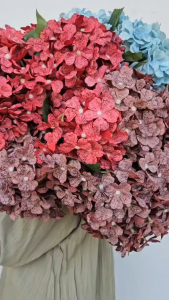 Bunga Hortensia Panca Warna Dry Artificial X5 Premium Import