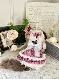 Aw Original Cat Curly Cat Sweet Printed Rose Simple Stroke Dog Birthday Photo Camping Princess Dress