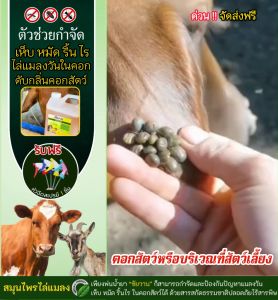 รีวิว จากผู้ใช้จริง น้ำยาไล่ยุง กันยุง สเปรย์ไล่แมลง ดับกลิ่นคอก สมานแผลสัตว์ 6 ลิตร ⭐️แถมฟรี⭐️หัวฉีดฟ็อกกี้ 1 ชิ้น ชัยวาน ผลิตจากสารสกัดธรรมชาติ 100%