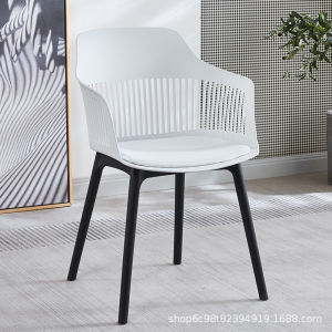 MOLORE | Creatively Designed Hollow Back Modern Minimalist Outdoor Plastic Dining Chair