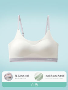 Áo Ngực Thể Thao Cho Bé Gái Áo Ngực Một Mảnh Pure Color Nylon Spandex Dài Đến Ngực Không Có Thương Hiệu Thời Trang Mùa Hè 2024