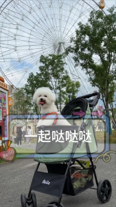 Bello SP02E Newest Pet stroller small Lightweight Fordable Cart Dog Cat Teddy Hand Cart Outgoing Pet Dog Cat - VMI Direct