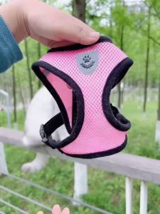 เชือกลากสัตว์เลี้ยงป้องกันการแตกหัก เชือกเดินสุนัขและแมวแบบพิเศษ สายโซ่เทียมสัตว์เลี้ยง ปรับได้