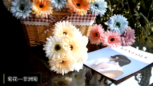 Bó Hoa Đồng Tiền Giả 3 Bông Trang Trí Nhà Cửa Cửa Hàng Tiệc Cưới Decor Chụp Ảnh Nhiều Màu