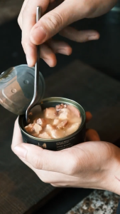 [SG Brand] Regália Cat Can 100% Pure Meat 2.5x Protein No Additives Complete Balanced Nutrition All Natural Ingredients Wet Cat Canned Food 85g Tuna Chicken Heart Liver Taurine Cans Premium Gourmet