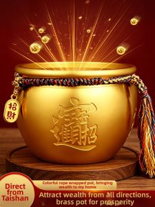 WEIZHEN | Wealth Attraction Five-color Auspicious Rope Brass Item