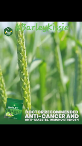 Dr. Vita BARLEY with Wheatgrass & Mangosteen w/ Probiotics 1.5gx30sachets/Pouch (1+1 TWIN PAKS )