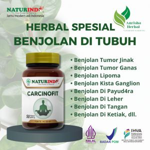 Herbal Benjolan Tumor Dan Kanker Bengkak Nyeri CARCINOFIT Naturindo Isi 50 Kapsul