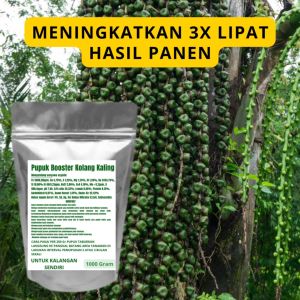 Pupuk Booster Kolang Kaling Pelebat Organik Cepat Berbuah Lebat Besar Anti Rontok Pembesar