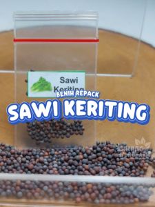 Benih Sawi Keriting Unggulan: Cara Menggunakan Biji Bibit Hydroponik