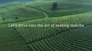 【LOCAL STOCK-Deliver in 2-3 days】Japanese Matcha Set Ceremony with Whisk Holder/Japanese Tea Ceremony Matcha Tea Set /Matcha Bowl Whisk Set Tool/ Brush Bamboo Song Dynasty/ Tea Pointing Household Baking Tea Set