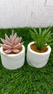 Sukulen Mini Pink Pot Gipsum Marmer | Tanaman Hias Plastik 6x10 cm | DIY Handmade Estetik Unik