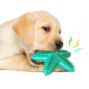Starfish Shaped Dog Toothbrush And Chew Toy Dental Care Pet Teeth Cleaning Sound Making Dog Toy Removes Tartar from Teeth