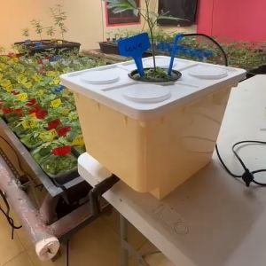 ชุดกระถางปลูกระบบไฮโดรโปนิกส์ กระถาง 11 ลิตร ถังปลูกไฮโดรโปรนิกส์ ระบบน้ำวน ถังปลูกกัญไฮโดร ถังปลูกกัญ(สินค้ามือ2)