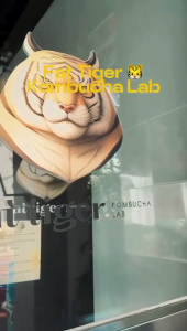 Fat Tiger Kombucha Series 1