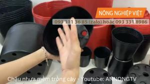 Chậu Nhựa Đen C7 - Chậu Nhựa Trồng Cây Giá Rẻ C6 C7 Đen Chậu Nhựa Ươm Cây Giá Rẻ Chậu Nhựa Mềm Ươm Cây C6 Chậu Trồng Cây Cảnh  Chậu Nhựa Mềm Ươm Cây C7 Chậu nhựa C6 Chậu Nhựa C7