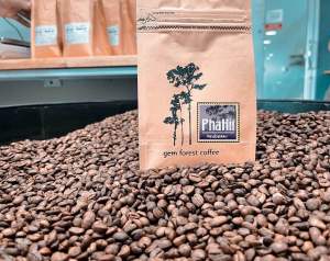 เมล็ดกาแฟคุณภาพจากดอยผาฮี้จ.เชียงรายPhahii coffee