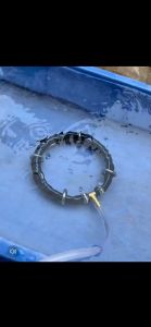 Stainless Steel Nano Aeration Disc Koi Fish Pond Seafood Pond Oxygen Plate Oxygen Ring Aquarium Fish Tank (READY STOCK)