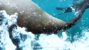 BZU BZU Coconut Baby Oil 100ml