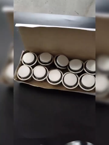 10pcs Universal Rice Cooker Temperature Limiter Magnetic Suction Thermostat