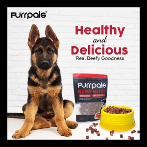 Furrpals Beef Bites Pet Snack Pet Treats Dog Treats Beef Cube Beef Stick Dog Snack 500g/pack