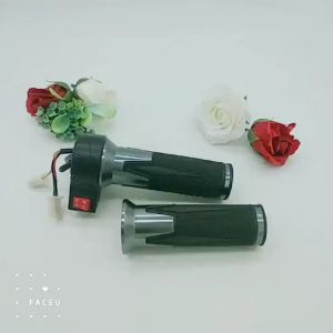 Condor-คันเร่งสามล้อไฟฟ้า เดินหน้าและถอยหลัง พวงมาลัยไฟฟ้า พวงมาลัยปรับความเร็ว สมาร์ท ไฮสคูล เดินหน้าและถอยหลังด้วยความเร็วต่ำ ไม่มีสวิตช์