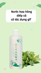 [Hoàn tiền 20%] Nước hoa hồng Toner diếp cá Dokudami Natural Skin Lotion Nhật 500ml - Shop Hong1008