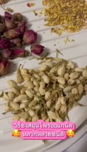 ดอกมะลิอบแห้ง กลิ่นหอมนุ่ม ดื่มง่าย ชาดอกมะลิ สมุนไพรOrganic100% ราคาถูกมาก จำหน่ายราคาปลีกและส่ง