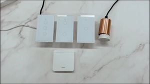 Tuya WiFi Smart Switch Works With Alexa With/Without Neutral Wire Touch Light Switch Wireless RF433 Wall Remote Voice Control