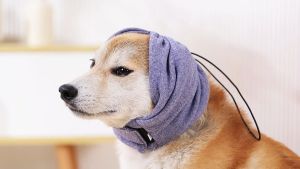 Pet Soothing Headgear Soundproofing Head Covering Ear Care Ears Protection Quiet Dog Warm Adjustable Multi-Function