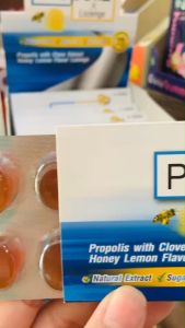 Propoliz X เม็ดอมโพรโพลิส ผสมกานพลู Propolis With Clove และเม็ดอมโพรโพลิส ผสมสมุนไพรไทย Propolis With Extherb แผง8เม็ด (1แผง)