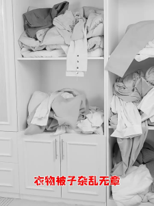Foldable Storage Bag Large Capacity Under Bed Non Woven Quilt Container Transparent Dustproof Clothing Organizer