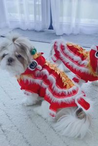 ชุดเชิดสิงโตหมาแมว ชุดเชิดสิงโตหมาใหญ่ ชุดตรุษจีนเชิดสิงโตสัตว์เลี้ยง มีทั้งแบบใส่สี่ขา ผ้าคลุมพร้อมหัวสิงโต ชุดตรุษจีนหมา ชุดตรุษจีนแมว