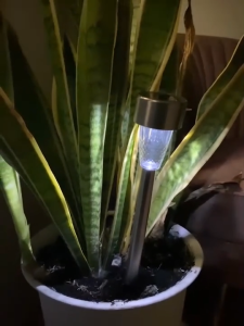 Marino Home ไฟปักสนาม ไฟสนามพลังงานแสงอาทิตย์ ไฟสนามโซล่าเซลล์ No.Y1523