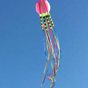 Inflatable kites Duck kite flying outdoor toys for nylon kites sport toys soft kites wheel adults kite professional wind kites