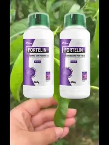 💗🙋‍♀️💗英国进口细菌杀菌剂角斑病穿孔病溃疡病青枯病软腐病炭疽病农