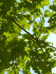 Kipas Desktop Listrik & Kipas Angin Mini USB Isi Ulang