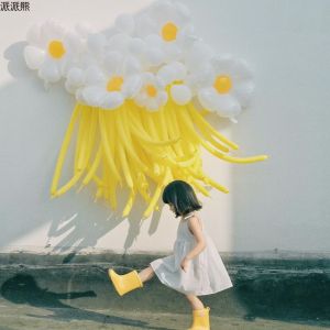 Internet Celebrity Ins Style Little Daisy Balloon Men and Women Baby Full-Year Outdoor Studio Photo Layout Decoration up Props