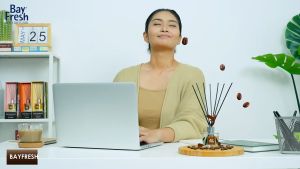 Bayfresh Reed Diffuser Device Pengharum Ruangan Amber Lavender